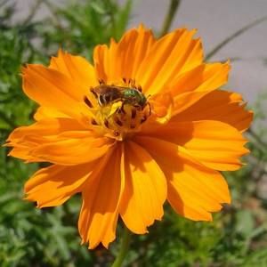 Meet your Posher, Aurora